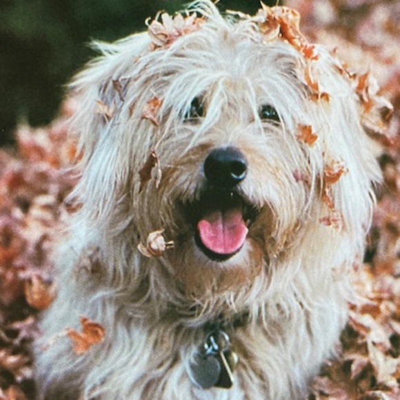 Vintage Bonwitt Teller Philadelphia Tweed Jacket - Picture 12 of 12